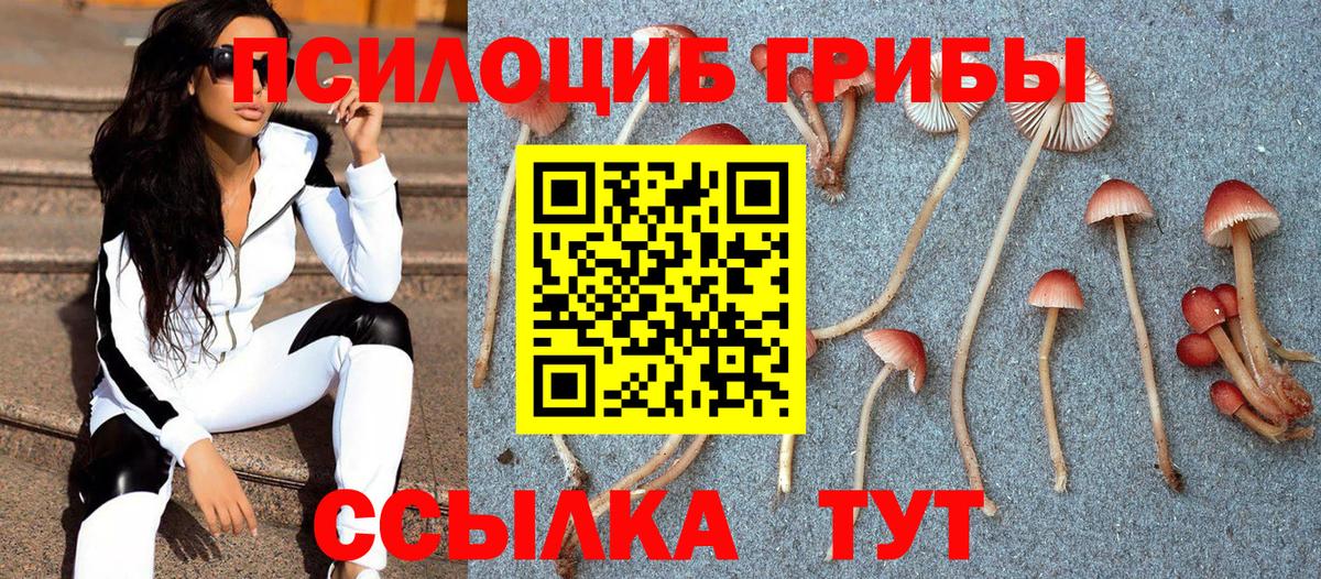 Кохма  наркошоп  Вход с VPN  Галлюциногенные грибы мухоморы  Галлюциногенные грибы Psilocybe 
